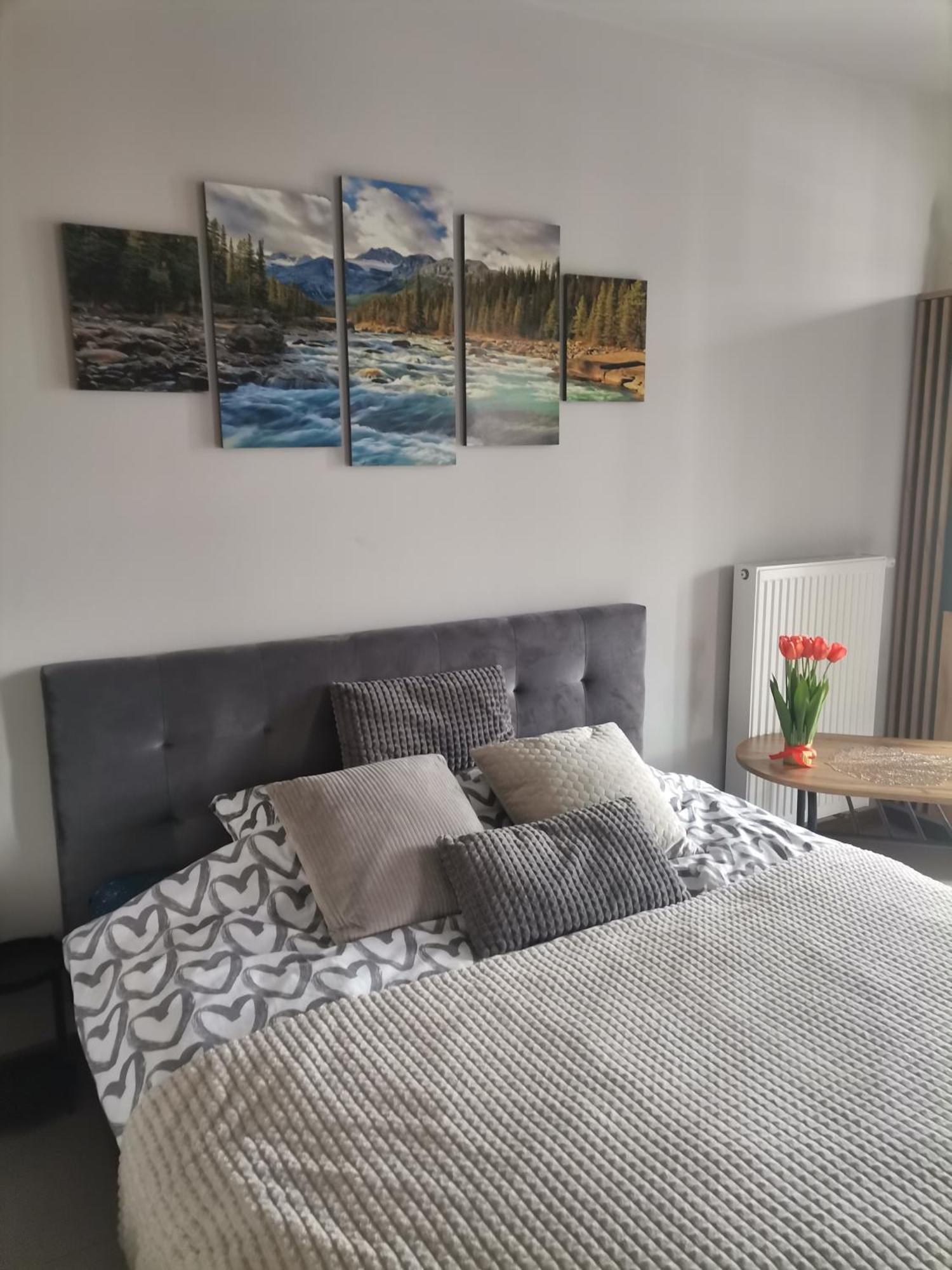 Apartament Gorska Szarotka Nowy Targ Exteriör bild