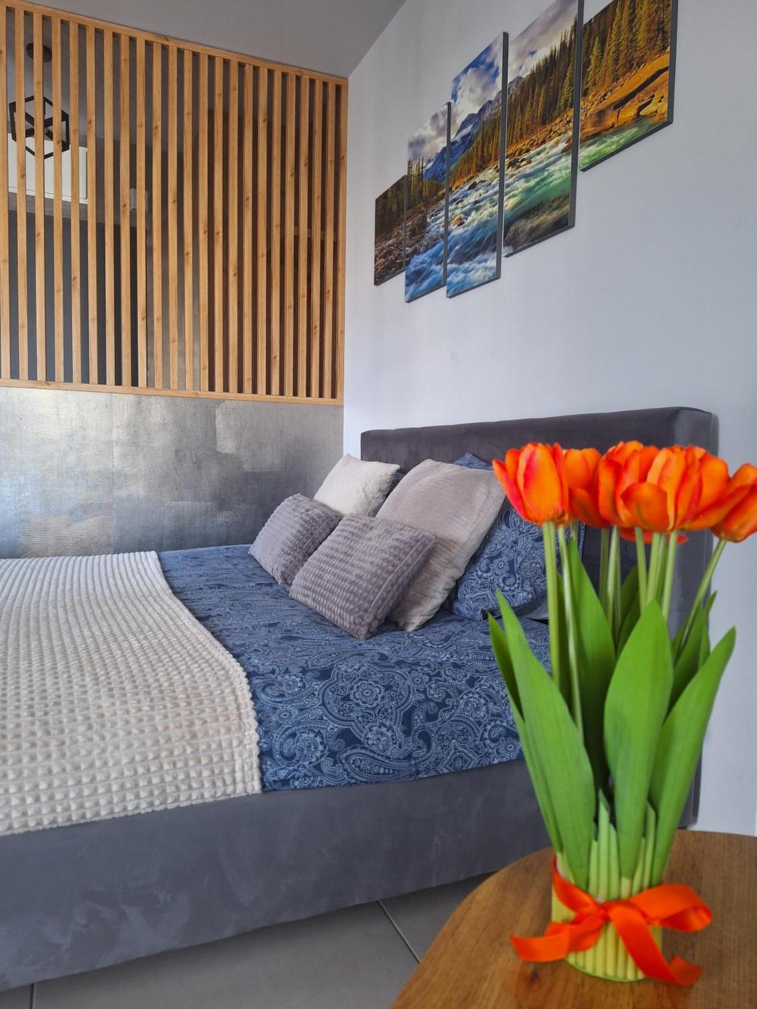 Apartament Gorska Szarotka Nowy Targ Exteriör bild