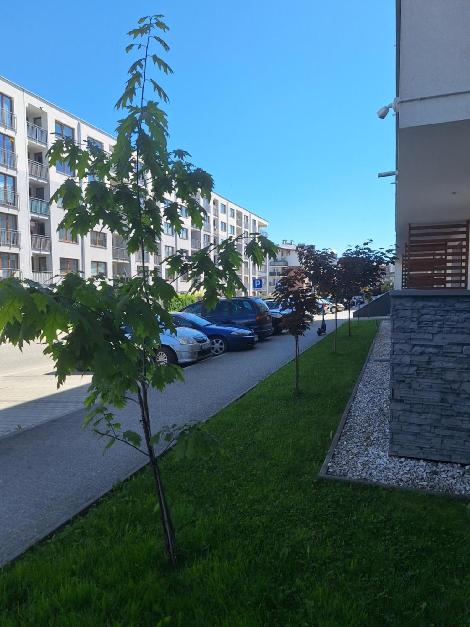 Apartament Gorska Szarotka Nowy Targ Exteriör bild